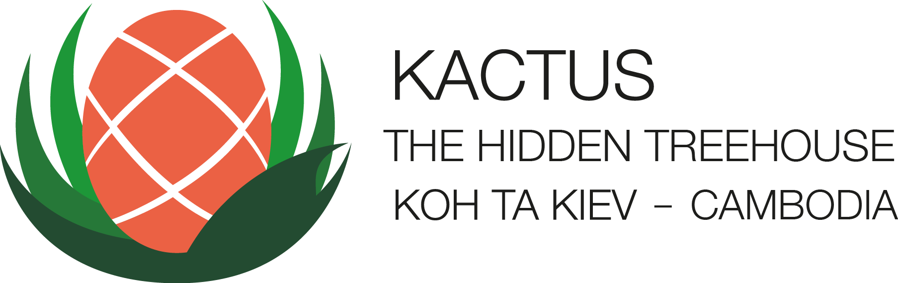 Kactus-logo-horizontal-COULEUR Kactus